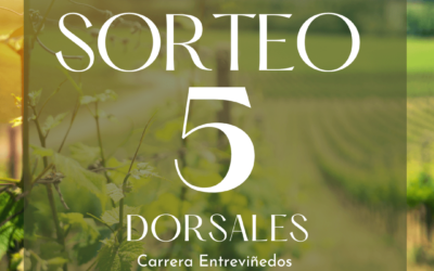 Bases legales del sorteo 5 dorsales carrera Entreviñedos